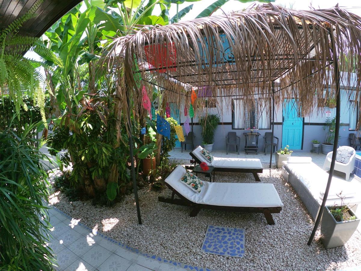Hotel Perico Azul & Surf Camp 哈科 外观 照片