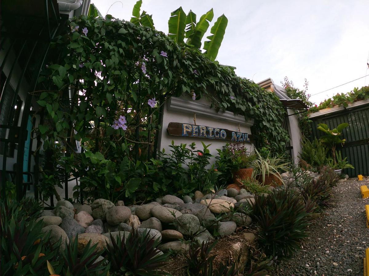 Hotel Perico Azul & Surf Camp 哈科 外观 照片