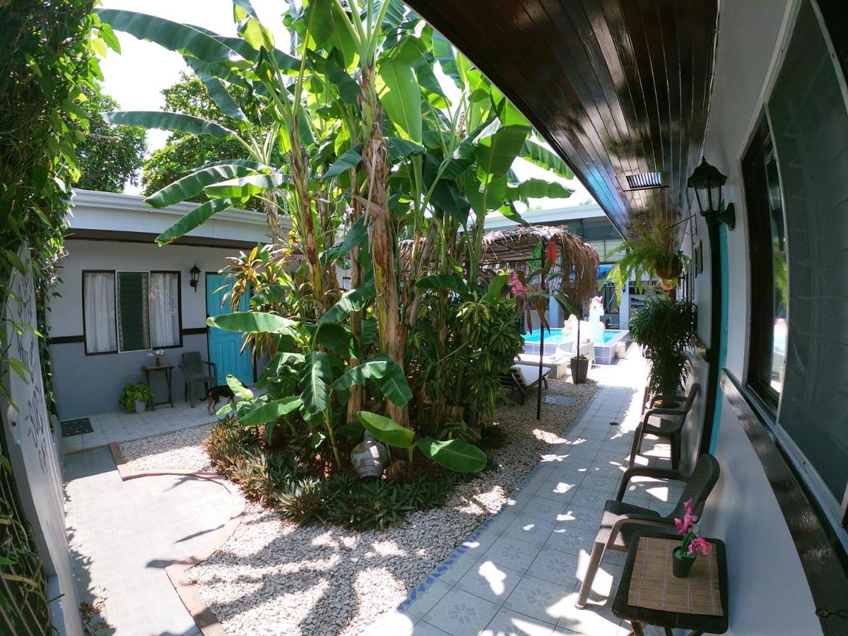 Hotel Perico Azul & Surf Camp 哈科 外观 照片