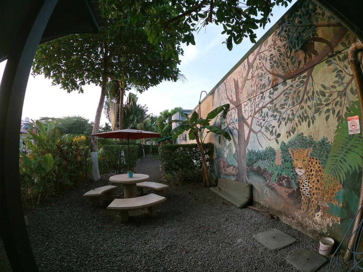 Hotel Perico Azul & Surf Camp 哈科 外观 照片