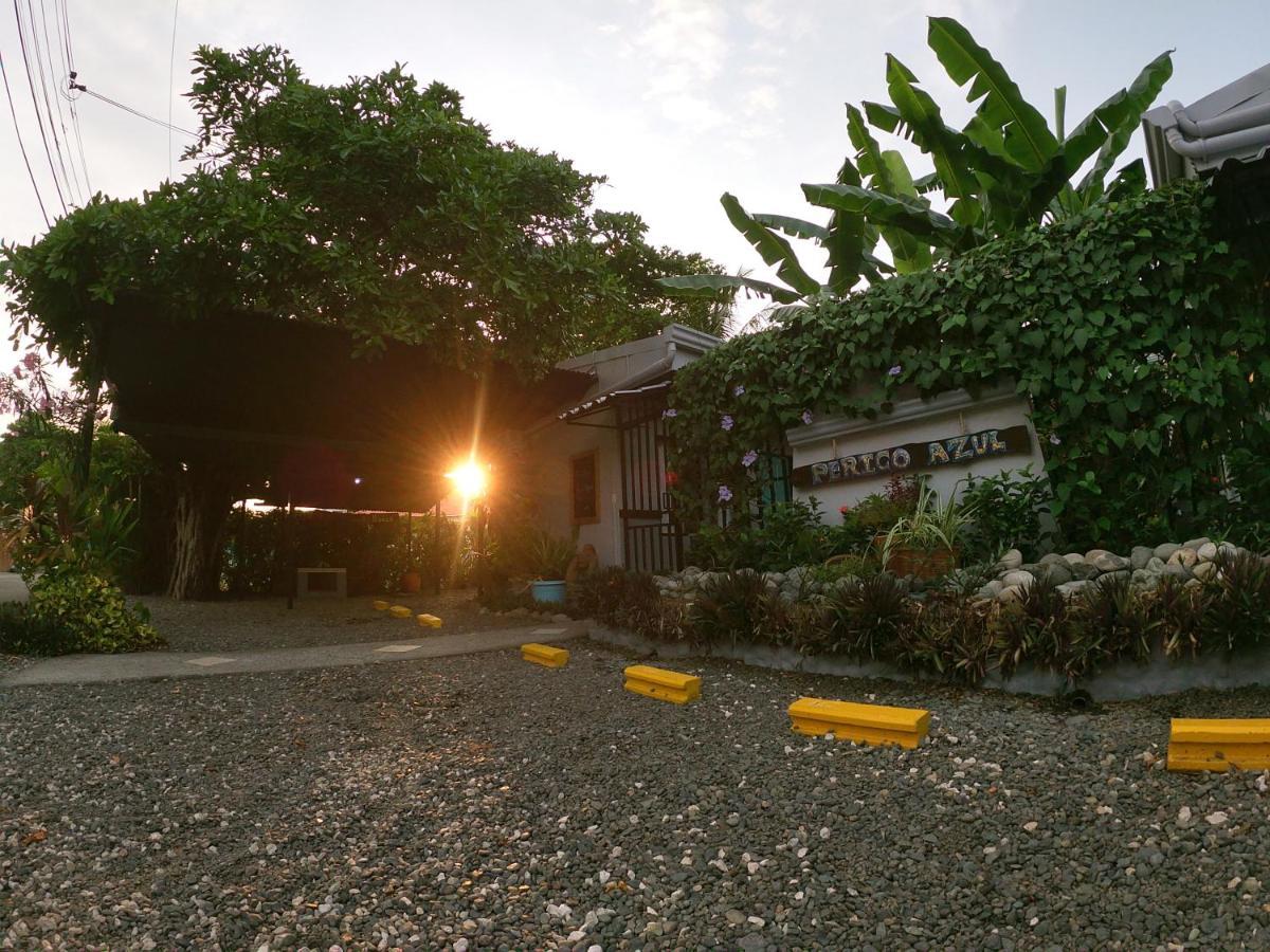 Hotel Perico Azul & Surf Camp 哈科 外观 照片