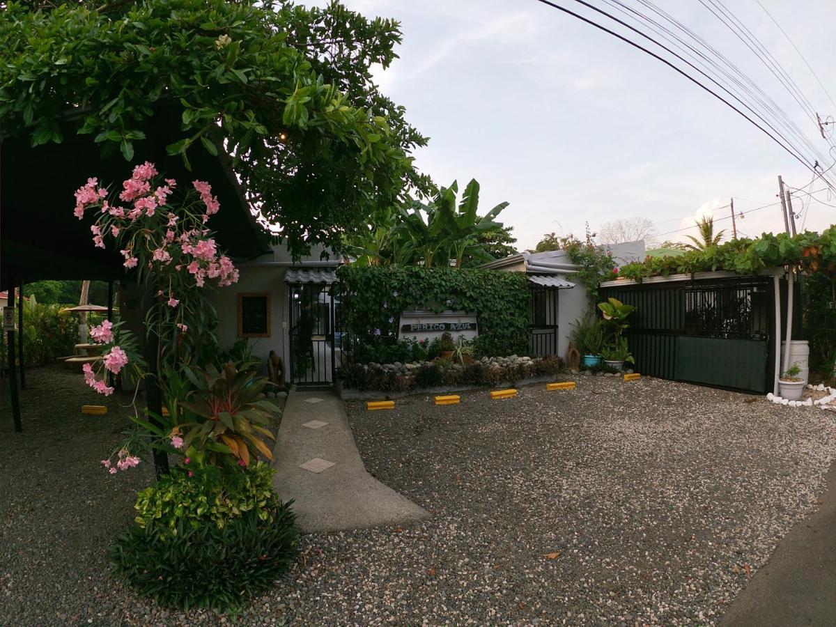 Hotel Perico Azul & Surf Camp 哈科 外观 照片