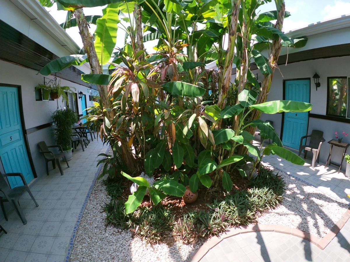Hotel Perico Azul & Surf Camp 哈科 外观 照片