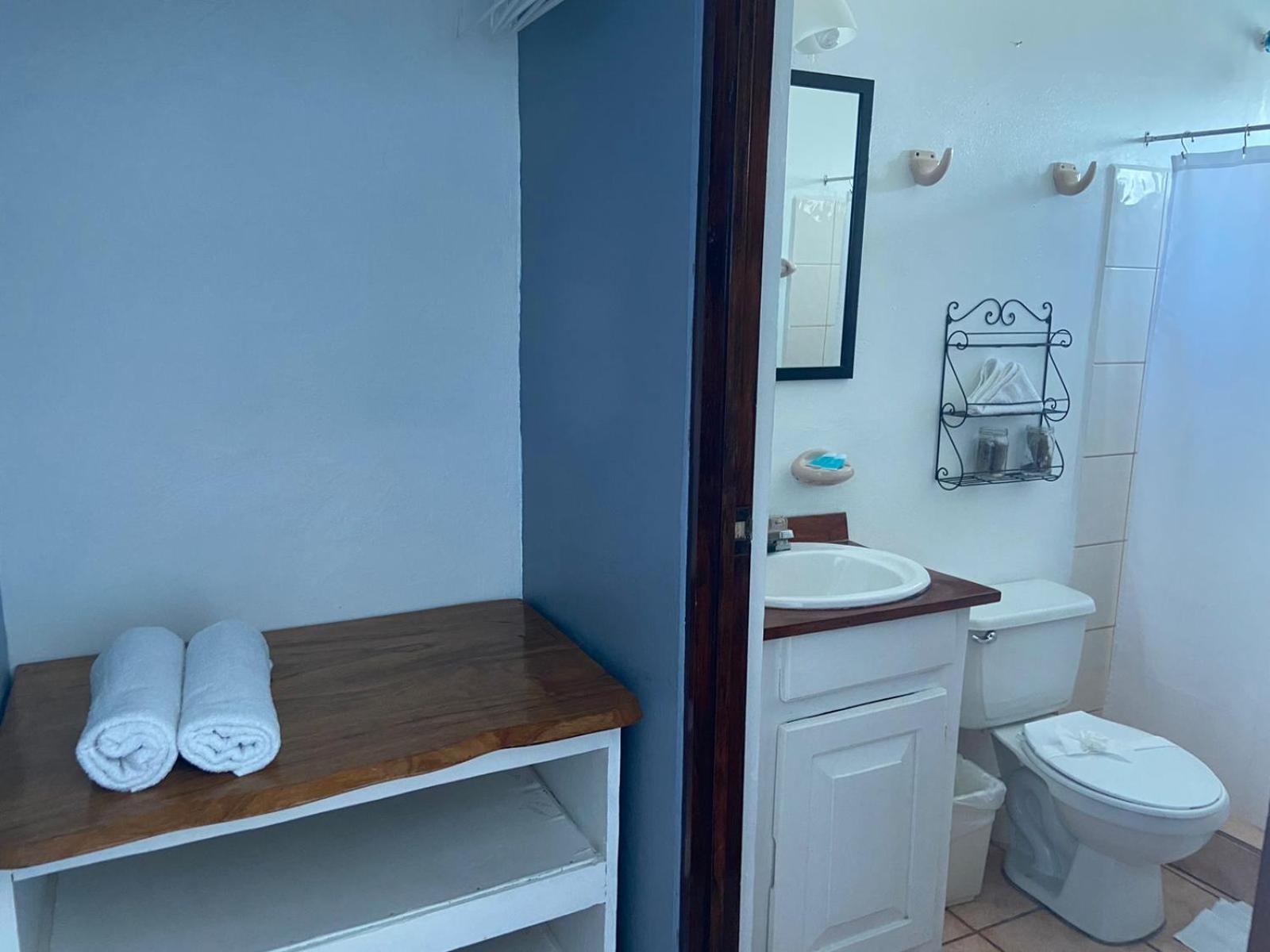 Hotel Perico Azul & Surf Camp 哈科 外观 照片